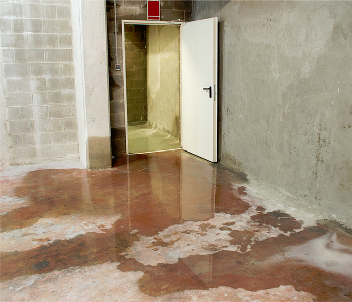 puddles of water on the floor of a basement