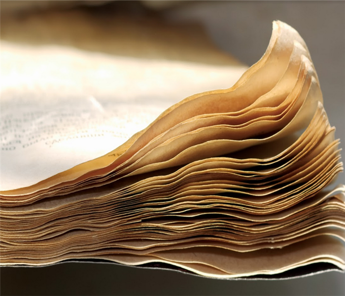 wet pages of paper that are drying