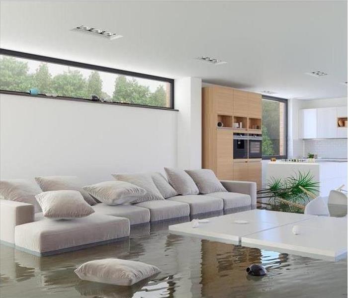 Living Room Under Flood Water