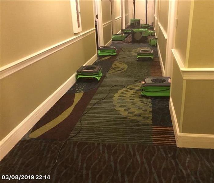 many air movers drying carpet in a hotel corridor